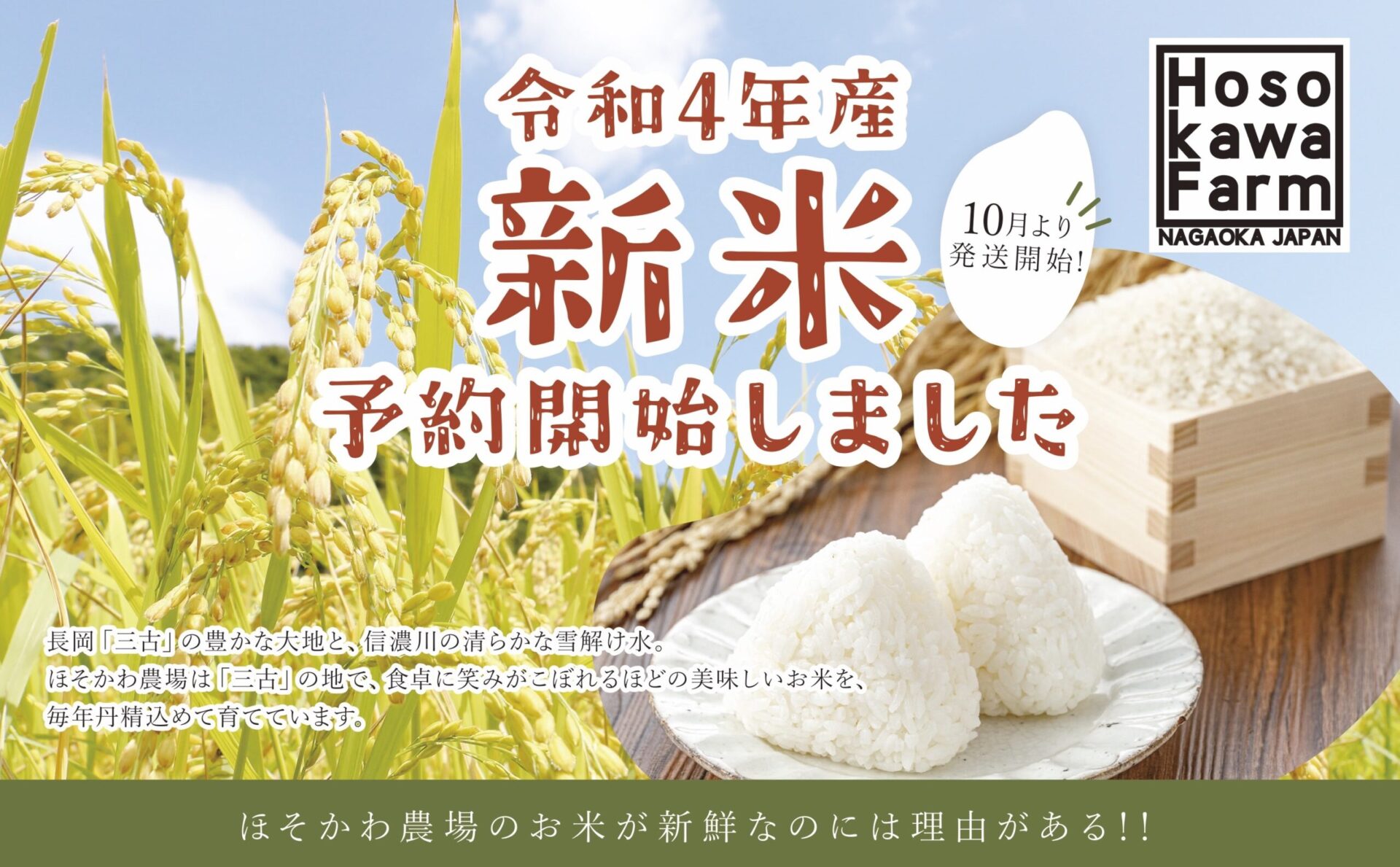 長岡市にある農家様の新米販売チラシ制作ご支援 | グローカル 